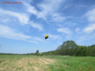 Покопушки от Русланыча . - IMG_2115.JPG
