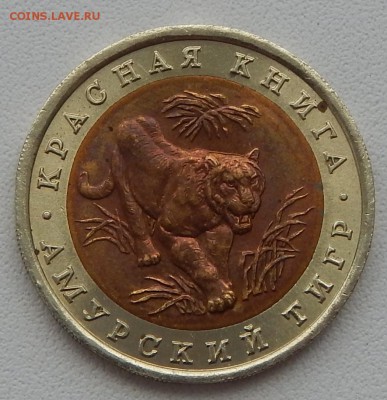 10 РУБЛЕЙ 1992  АМУРСКИЙ ТИГР до 8.06.15 - DSCN1295