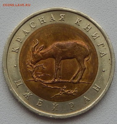 КРАСНАЯ КНИГА 1994 ДЖЕЙРАН до 9.06.15 - DSCN1293