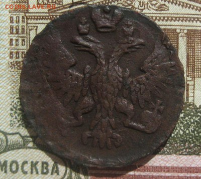 Деньга 1750г.перья.до8.06. - IMG_7404.JPG
