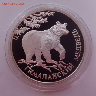 1 рубль 1994 ГИМАЛАЙСКИЙ МЕДВЕДЬ 08.06 22:00 - IMG_20150606_102641