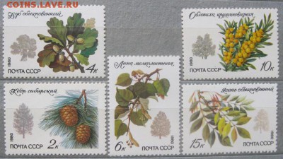 СССР. Флора. - 260148