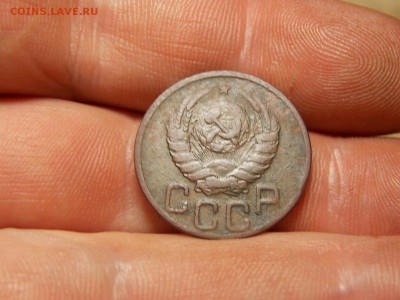 Ранние советы 14 шт. Хорошие! - DSCN3787.JPG