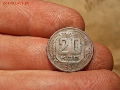 Ранние советы 14 шт. Хорошие! - DSCN3786.JPG