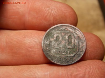 Ранние советы 14 шт. Хорошие! - DSCN3784.JPG