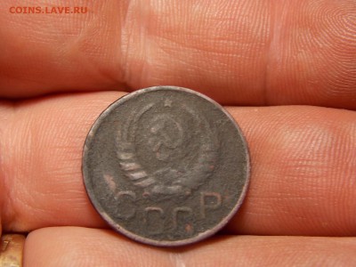 Ранние советы 14 шт. Хорошие! - DSCN3783.JPG