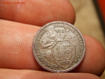Ранние советы 14 шт. Хорошие! - DSCN3778.JPG