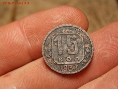 Ранние советы 14 шт. Хорошие! - DSCN3774.JPG