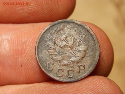 Ранние советы 14 шт. Хорошие! - DSCN3769.JPG