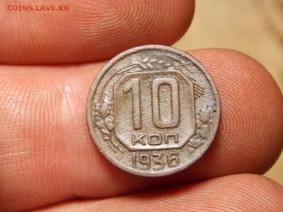 Ранние советы 14 шт. Хорошие! - DSCN3768.JPG