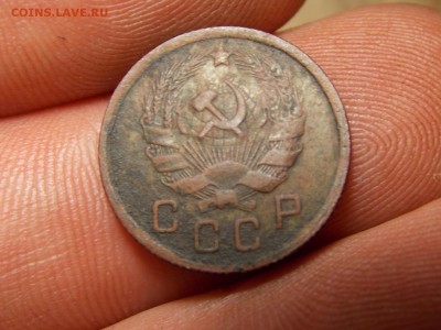 Ранние советы 14 шт. Хорошие! - DSCN3767.JPG