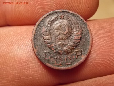 Ранние советы 14 шт. Хорошие! - DSCN3765.JPG