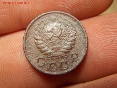 Ранние советы 14 шт. Хорошие! - DSCN3763.JPG