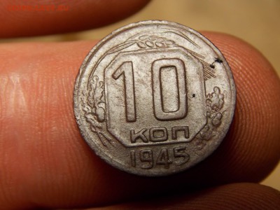 Ранние советы 14 шт. Хорошие! - DSCN3762.JPG