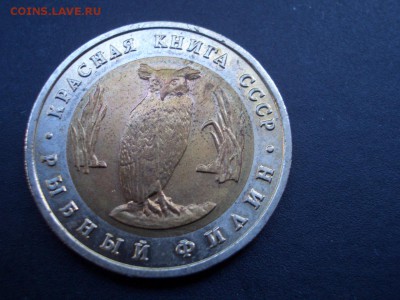 Красная Книга-1991 г. - 13.06.2015-22.00 Мск. - CIMG5112.JPG