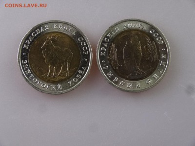 Красная книга 5 рублей 1991 2 штуки до 11.06.15 22:00 МСК - DSC08019.JPG