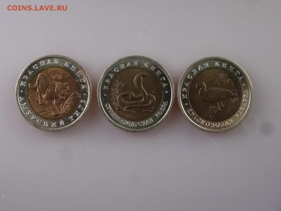 Красная книга 10 рублей 1992 3 штуки до 11.06.15 22:00 МСК - DSC08022.JPG