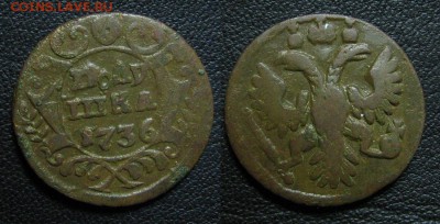 1736_полушка_до 10.06 - 1736_полушка