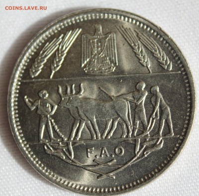 С 1 руб. FAO ЕГИПЕТ  10 пиастров 1970г. КРЕСТЬЯНЕ  до 14.06. - IMG_5923.JPG