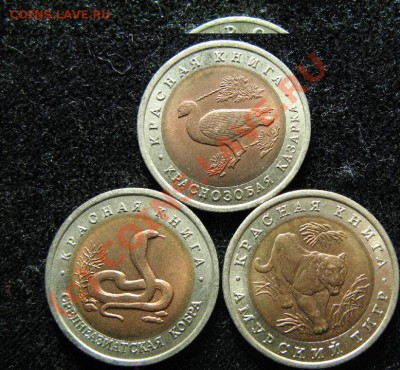 КРАСНАЯ КНИГА 1992г. ДО 14.07.2010г. 22-00 - 550.JPG