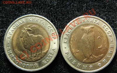 КРАСНАЯ КНИГА 1991г. ДО 14.07.2010г. 22-00 - 552.JPG