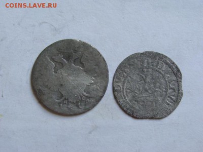 Чешуя 4 шт. + бонус до 22-00 15.06.2015 г. - DSC05392.JPG