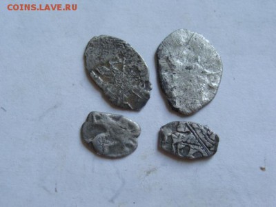 Чешуя 4 шт. + бонус до 22-00 15.06.2015 г. - DSC05391.JPG