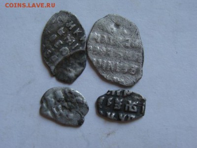 Чешуя 4 шт. + бонус до 22-00 15.06.2015 г. - DSC05390.JPG