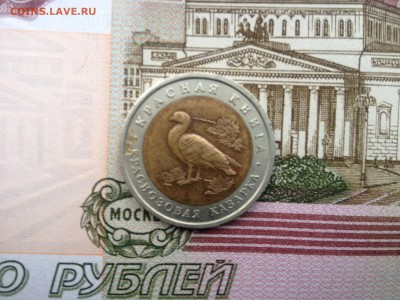 КК 10р. 1992г. Краснозобая казарка до 15.06.2015 в 22.22 - image