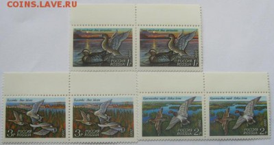 Россия. Утки.(одна серия.3м.) - 266940