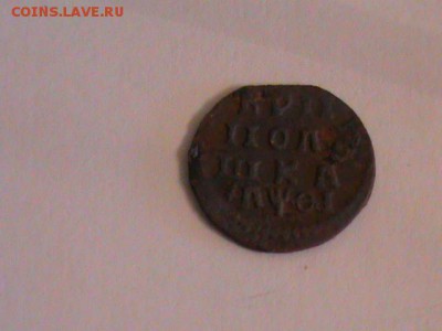 Полушка 1719г. - Полушка 1719г. аверс.JPG