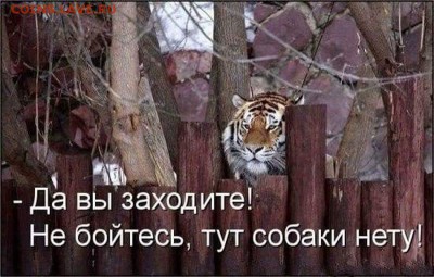 Демотиваторы - FB_IMG_1433620427982