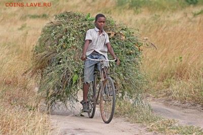 Схема коленно-рычажного механизма чеканочного пресса. - 1280px-African_boy_transporting_fodder_by_bicycle_edit