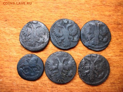6 монет - полушки 1735, 1736, 1769 - 100_3516.JPG