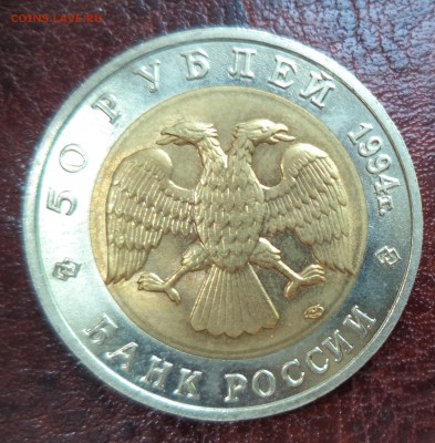 КК Сапсан до 11.06.15 в 22.00 по МСК Супер Короткий! - DSC00962.JPG