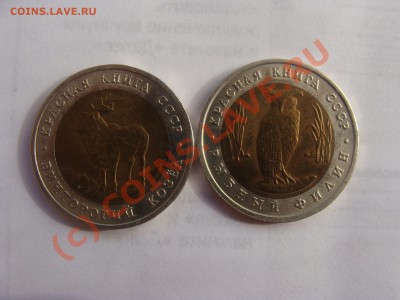 5р.Красная книга 1991г.  16.07.10. до 22.00 - DSC04014.JPG
