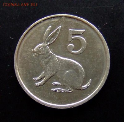 4 - Зимбабве 5 центов (1995) «Заяц» Р