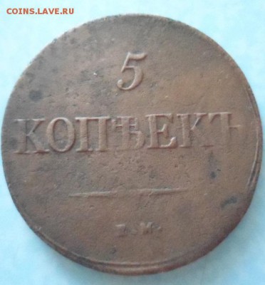 Два пятака. - SAM_0577.JPG