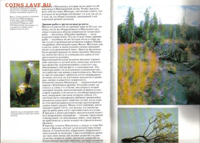 Книга У.Амос Живой мир рек до 15.06 22.00мск - Живой мир рек-3