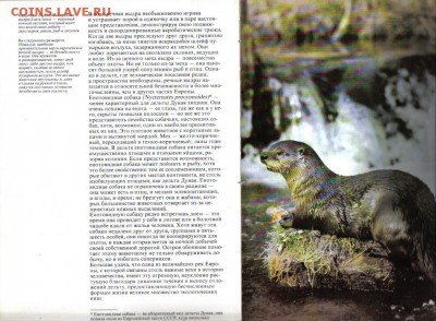 Книга У.Амос Живой мир рек до 15.06 22.00мск - Живой мир рек-2