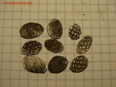 9  чешуек с подделкой - DSC03193.JPG