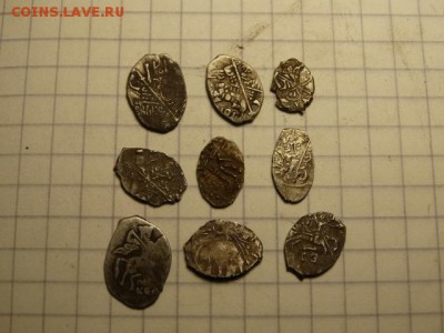 9  чешуек с подделкой - DSC03197.JPG