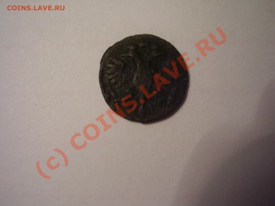 Полушка ВРП 1721г. до 18.07 в 21:00 Москвы - P2150680.JPG