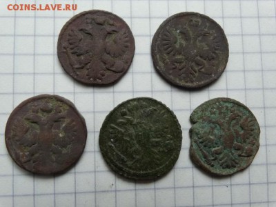 5 неплохих полушек - DSC03239.JPG