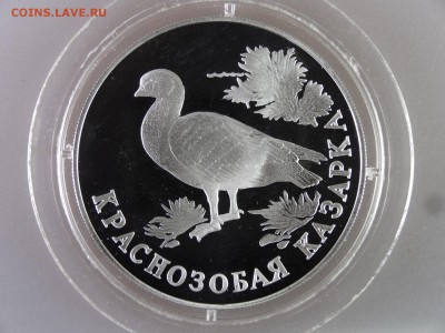 Красная книга 1 рубль 1994 3шт Proof до 18.06.15 22:00 МСК - DSC08354.JPG