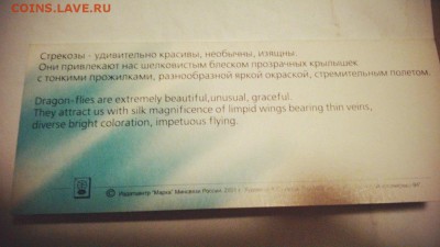 Россия Стрекозы на карточке 2001г чистые - FU_ZvqCltqs