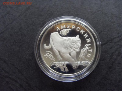 1 рубль 1993г.  К,К. Амурский тигр. до 22-00 мск 17.06.15 г. - SDC10163.JPG