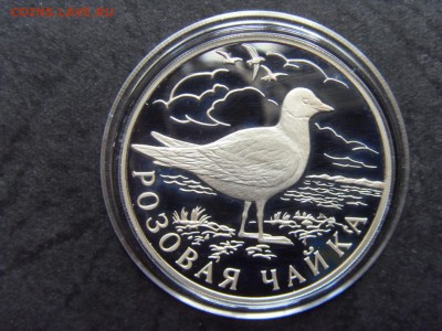 1 рубль 1999 г. К,К. Розовая чайка. до 22-00 мск 17.06.15 г. - SDC10194.JPG