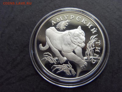 1 рубль 1993г.  К,К. Амурский тигр. до 22-00 мск 17.06.15 г. - SDC10198.JPG
