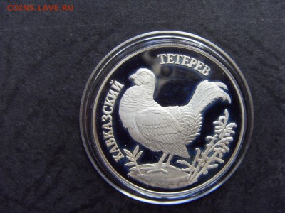 1 рубль 1995г.  К,К. Тетерев. до 22-00 мск 17.06.15 г. - SDC10192.JPG
